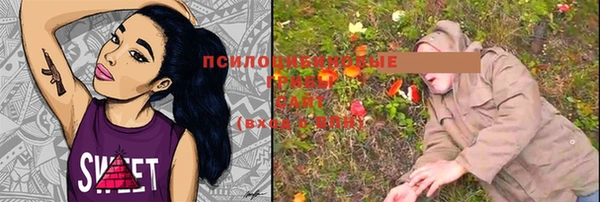 mix Алексин