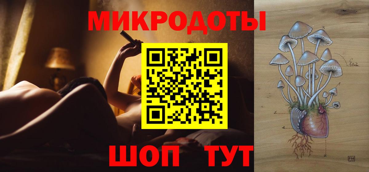 Кимовск  Псилоцибиновые грибы Psilocybine cubensis  Вход с VPN 