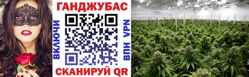 что такое   Кимовск  Бошки марихуана Bruce Banner 